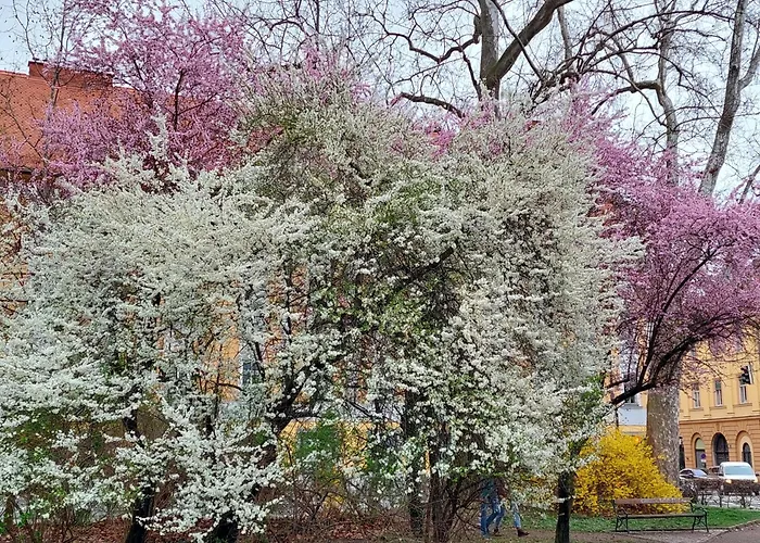 公寓 At Park, Luxurioese Mit Terrasse Und Parkplatz Im Herzen Von