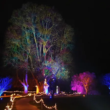 At Park, Luxurioese Mit Terrasse Und Parkplatz Im Herzen Von