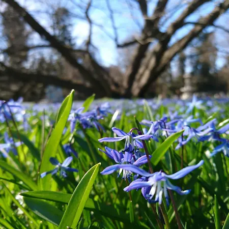 公寓 At Park, Luxurioese Mit Terrasse Und Parkplatz Im Herzen Von *