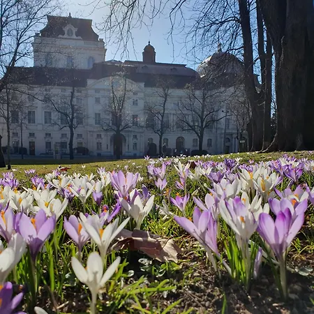 Lägenhet At Park, Luxurioese Mit Terrasse Und Parkplatz Im Herzen Von