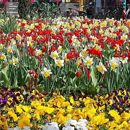 At Park, Luxurioese Mit Terrasse Und Parkplatz Im Herzen Von Daire *