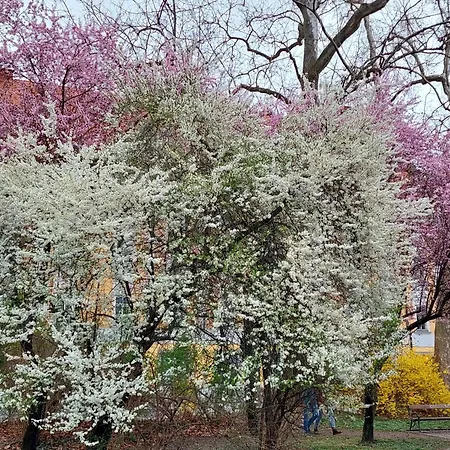 Daire At Park, Luxurioese Mit Terrasse Und Parkplatz Im Herzen Von