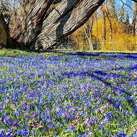 公寓 At Park, Luxurioese Mit Terrasse Und Parkplatz Im Herzen Von *