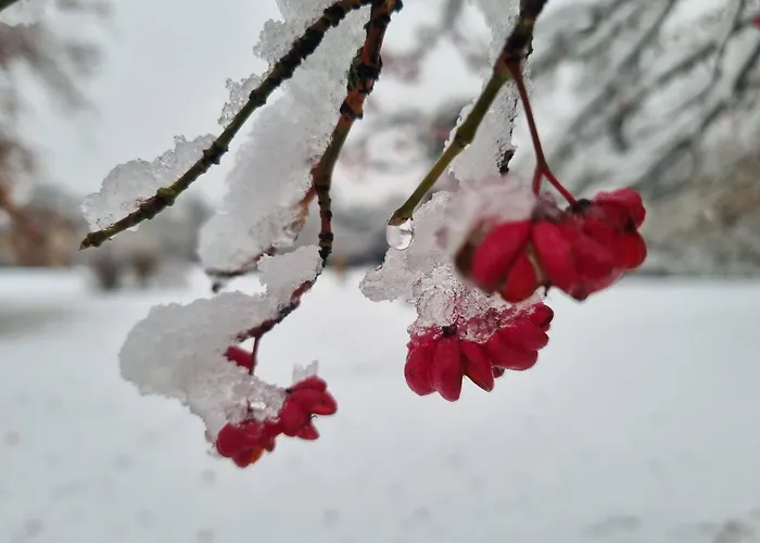 At Park, Luxuriöse Mit Terrasse Und Parkplatz Im Herzen Von