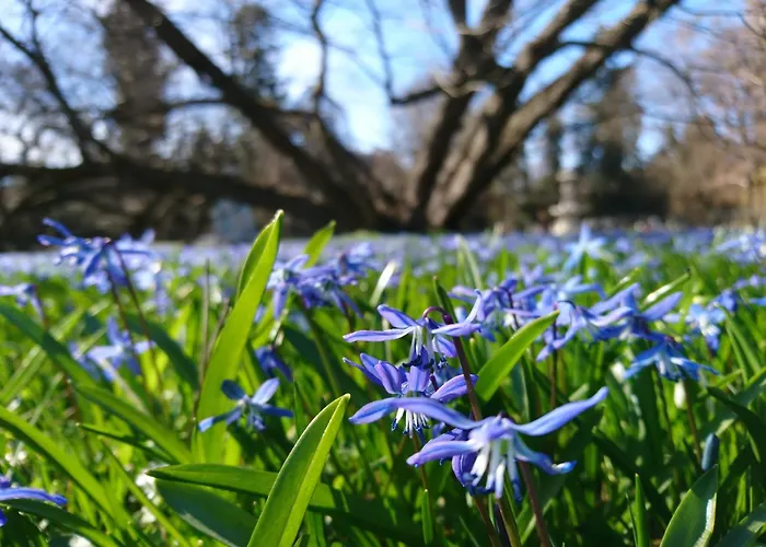 Appartamento At Park, Luxurioese Mit Terrasse Und Parkplatz Im Herzen Von *
