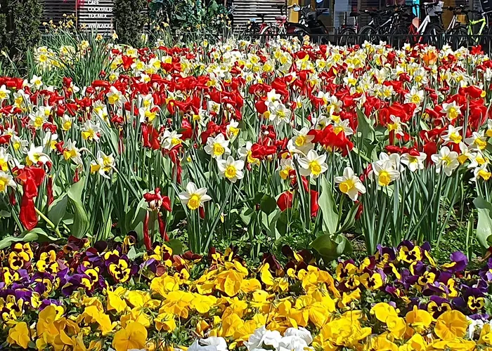At Park, Luxuriöse Mit Terrasse Und Parkplatz Im Herzen Von Apartment *