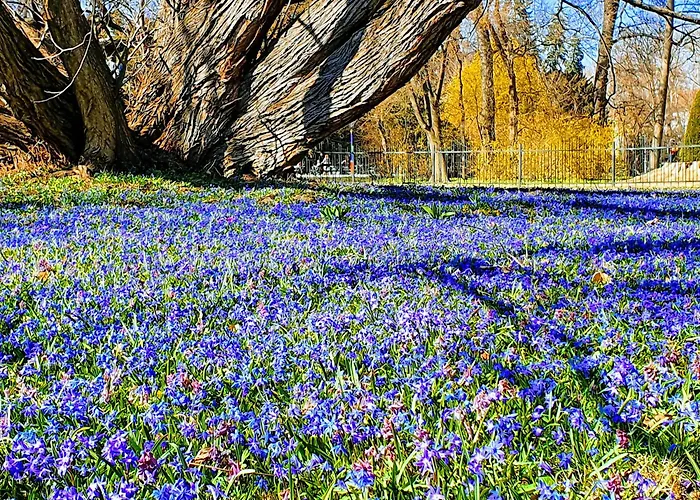 Διαμέρισμα At Park, Luxurioese Mit Terrasse Und Parkplatz Im Herzen Von *